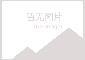 铁岭谷雪能源有限公司